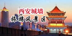 熟女操b中国陕西-西安城墙旅游风景区