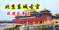 亚洲熟女操b电影网站中国北京-东城古宫旅游风景区